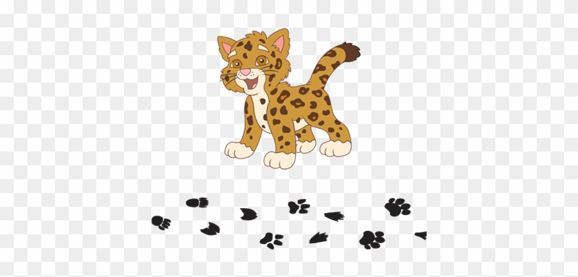 Cartoon Baby Jaguar - Go, Diego, Go! The Essential Guide #371265
