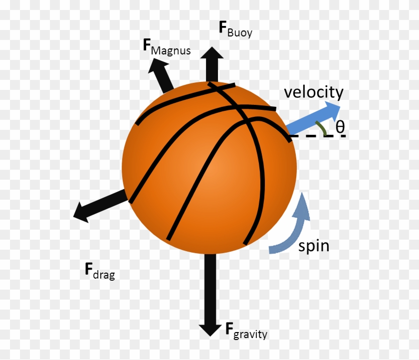 The Four Forces That Act On A Basketball In Flight - Forces Acting On A Ball #371375