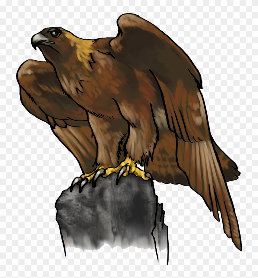 Usm Golden Eagle Clipart - Golden Eagle Clip Art #371639