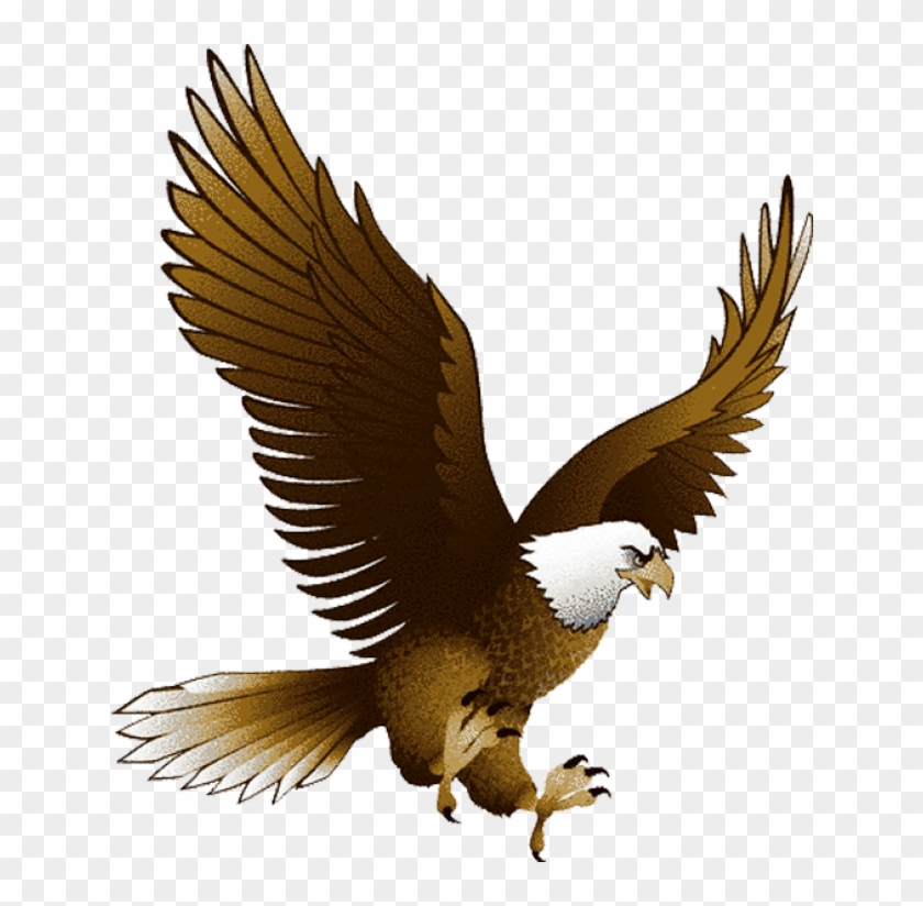 Bald Eagle Clipart - Eagle Bird Clip Art #371643