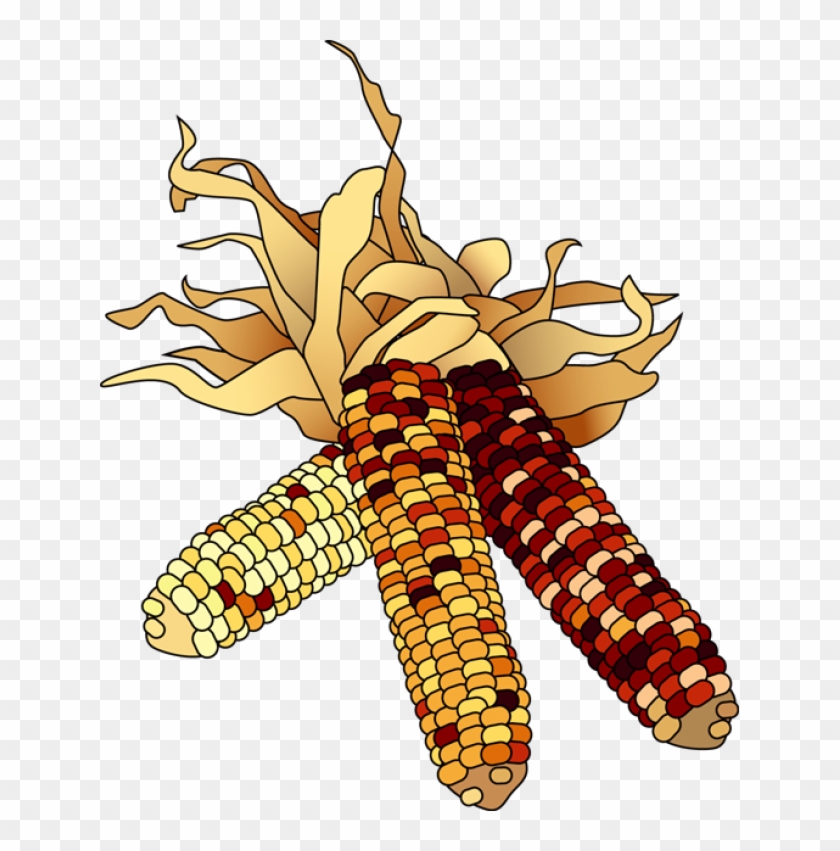 Corn - Clipart - November Clip Art Free #371652