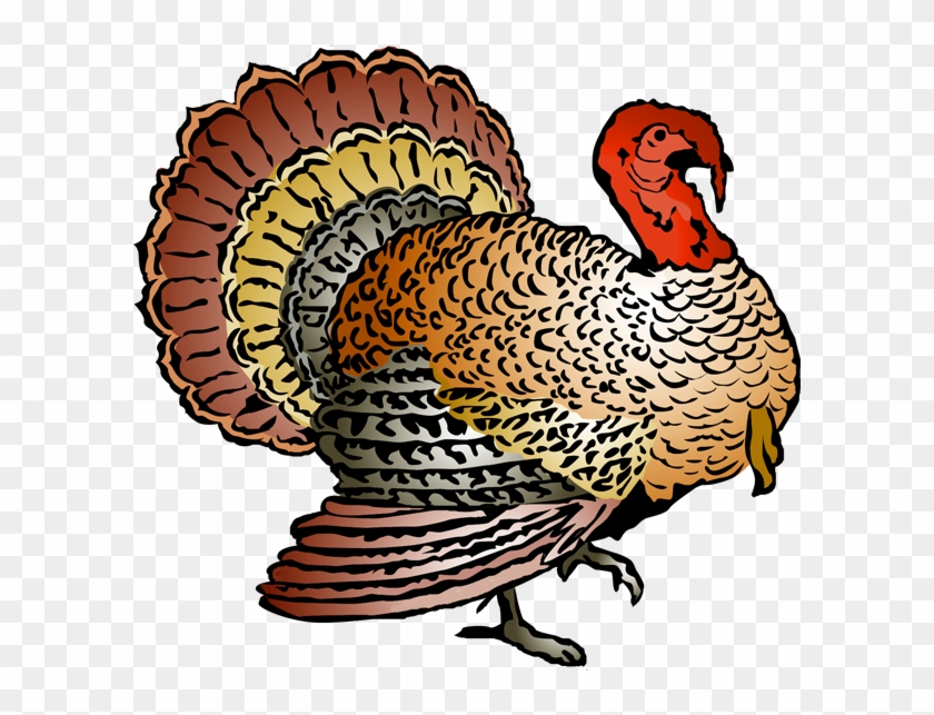 Wild Turkey Clipart - Wild Turkey Clipart #371692