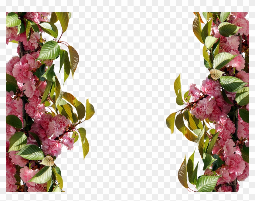 Free Printable Floral Borders And Frames 25, - Gül Çerçeve #371829