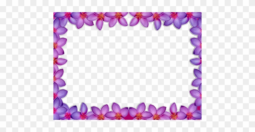 Purple Flower Borders And Frames - Picture Frame #371938