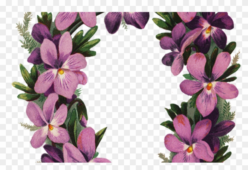 Flower Borders And Frames - Flower #371944