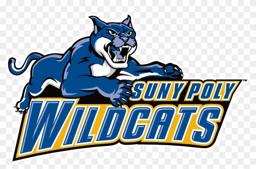 Suny Poly Womens Volleyball Data - Suny Polytechnic Institute #372220