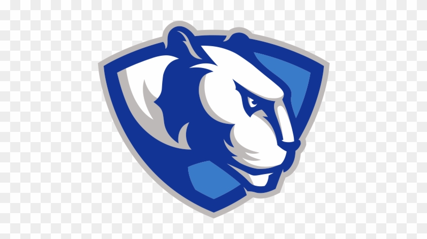 Eastern Illinois Womens Volleyball Data - Eastern Illinois Panthers #372407