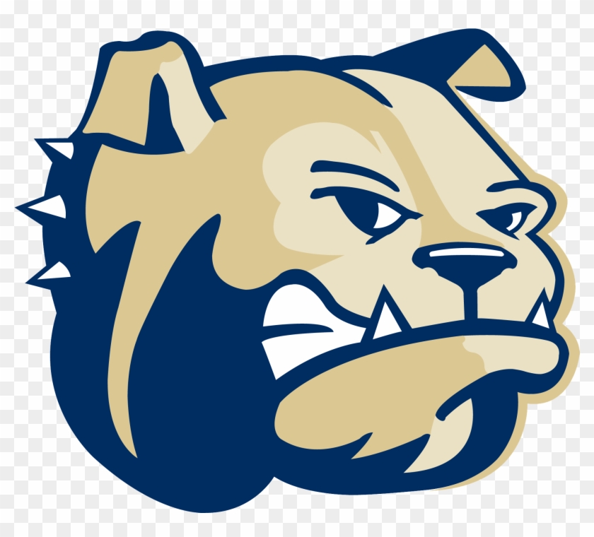 Wingate Womens Volleyball Data - Wingate Bulldogs #372418