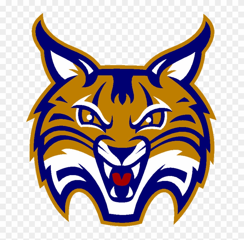 Quinnipiac Womens Volleyball Data - Quinnipiac Bobcats #372426