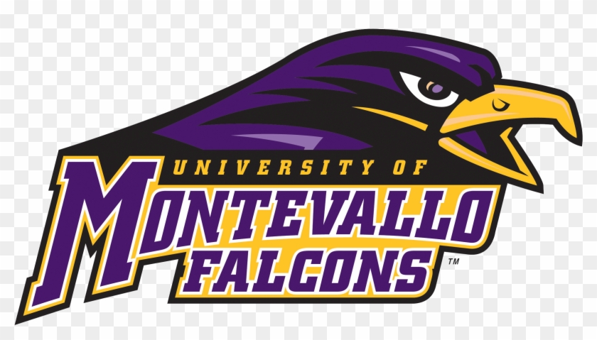 Montevallo Womens Volleyball Data - University Of Montevallo #372453