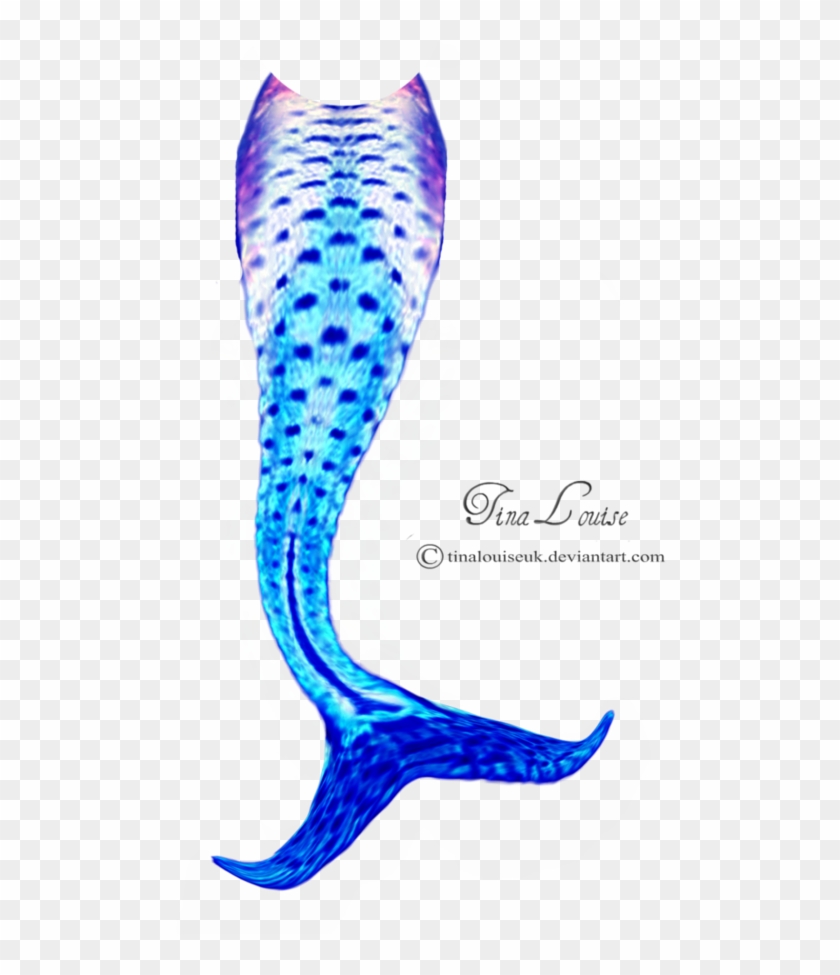 Best Mermaid Tail Fins Vector Image - Mermaid Tail Vector Free #373697