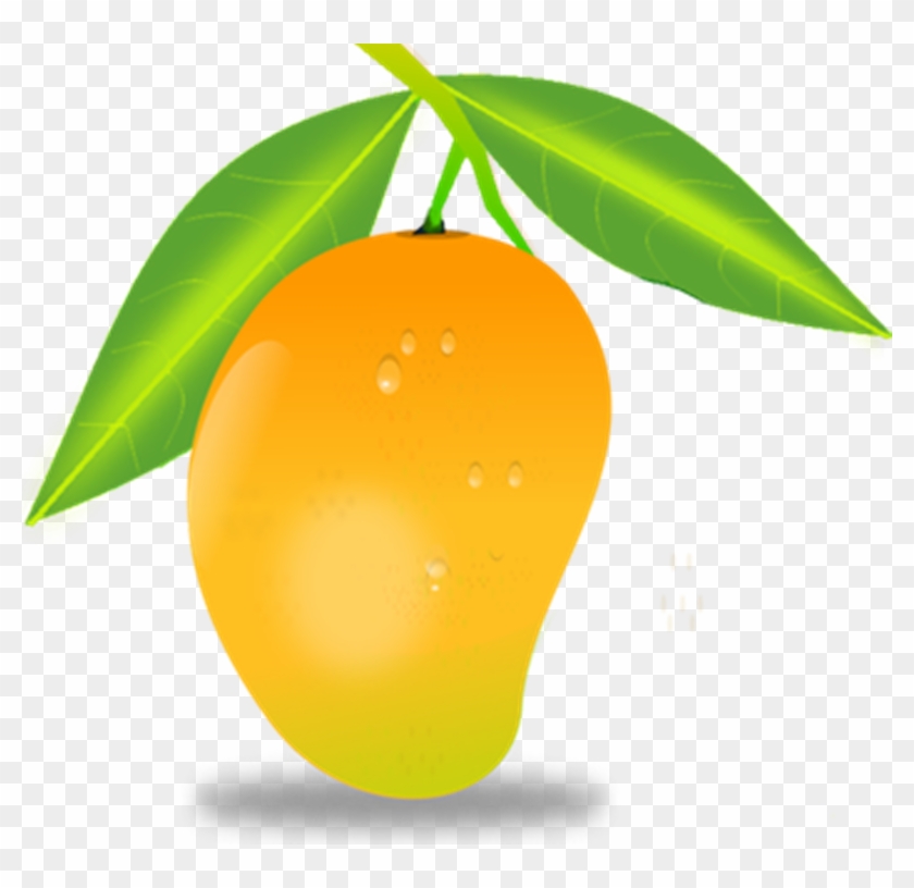 Mango Clip Art - Mango Png Vector #373988