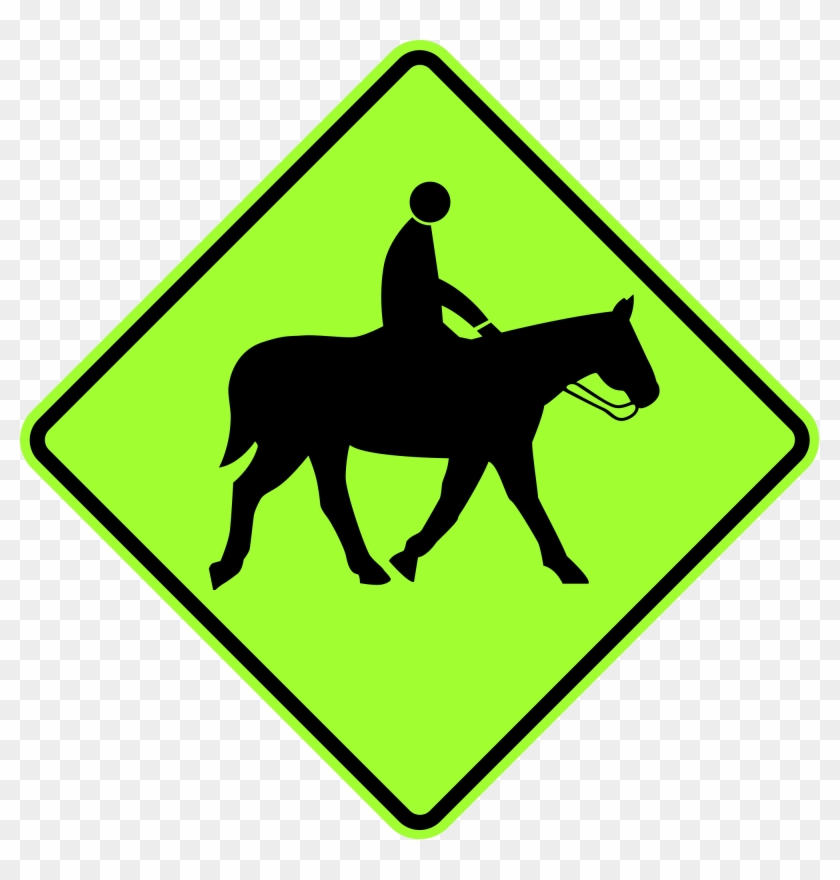 Open - Basic Training For A Safe Trail Horse: Learn How To #374017