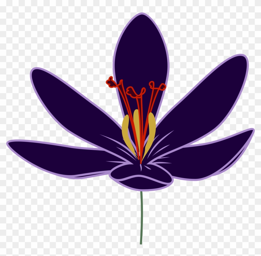 Nature Crocus - Saffron Flower Clipart #374220