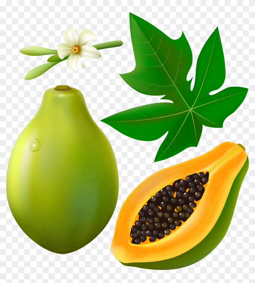 0 126f55 9bbd3ee Orig - Papaya Leaves Clip Art #374248