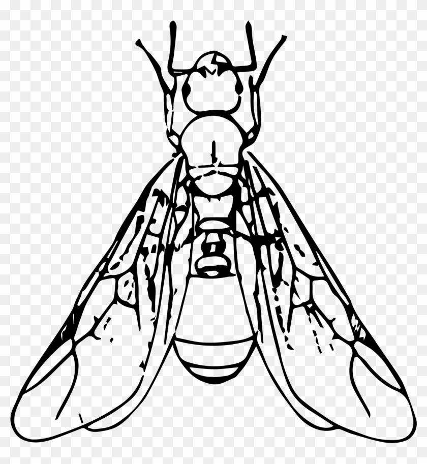 Ant Black And White Clipart Winged Ant - Termite #374327