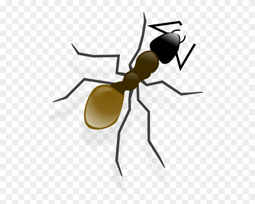 Ant Clip Art - Ant Clip Art #374550