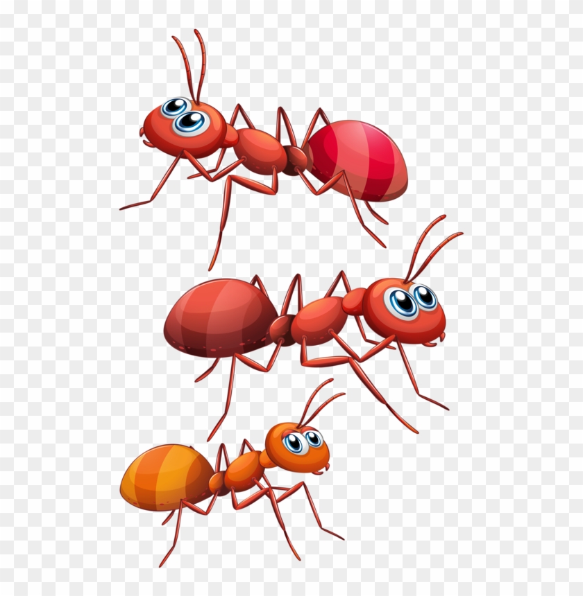 Red Ant Cartoon #374554