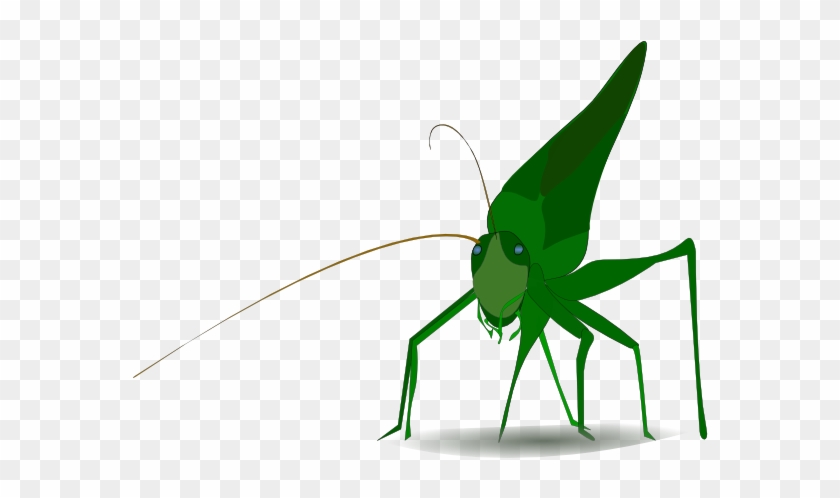 Emeza Grasshopper Clip Art - Grasshopper Clipart #374558
