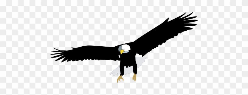 Haliaeetus Leucocephalus - Bald Eagle Vector Png #374651