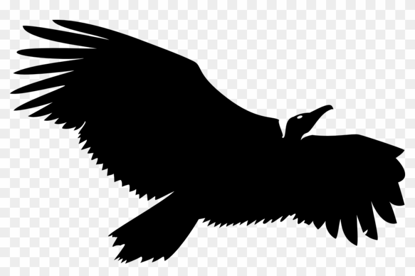 Black Eagle Clipart Vulture - Vulture Logo Vector #374689
