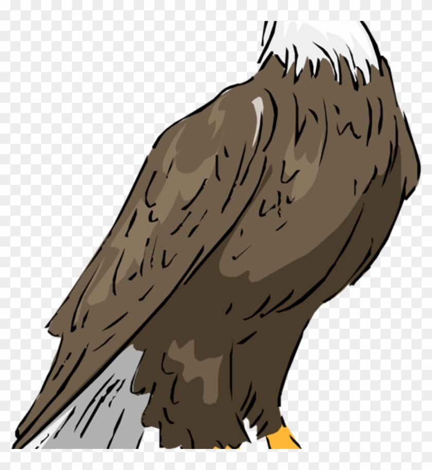 Eagle Clipart Bald Eagle Eagle Clipart Clipartix Science - Орел Вектор #374694