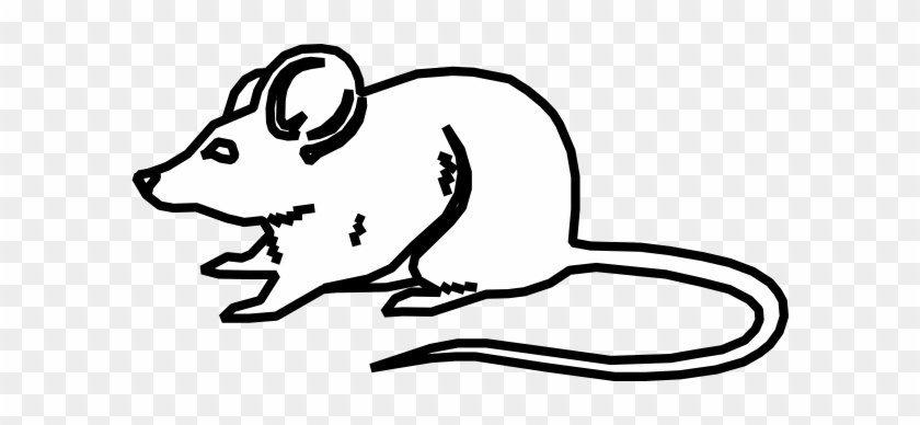 Outline Images Of Mouse #374738