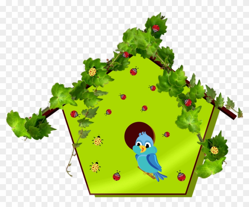 Bluebird, Bird, Birdhouse, Avian, House, Home, Insects - House #374857
