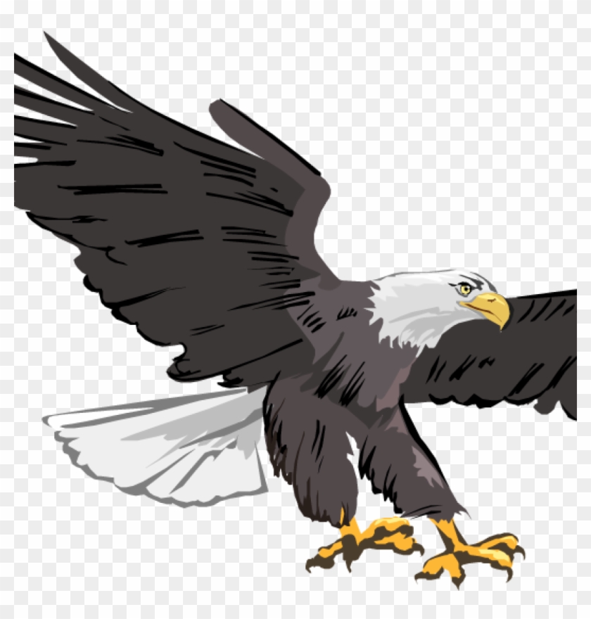 Eagle Clipart Bald Eagle Clipart Images Free Clipartix - Adler Clipart #374875