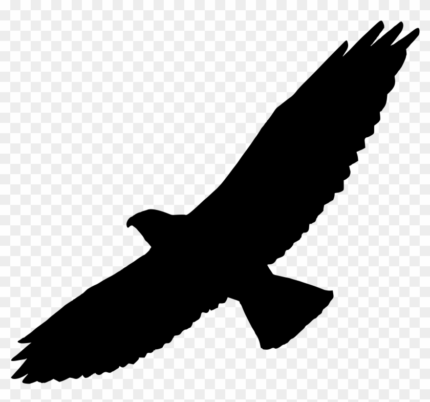 Free Vector Graphics On Pixabay - Hawk Silhouette #374934