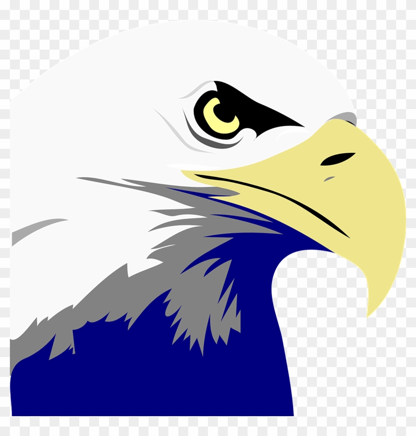 Bald Eagle Clipart Elang - Bald Eagle Art Png #374984