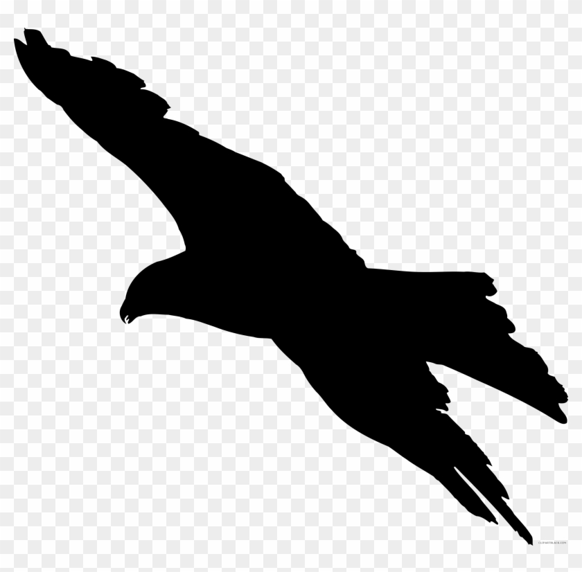 Eagle 7 Silhouette - Bird Of Prey Silhouette #374998