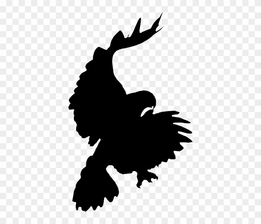 Silhouette, Cartoon, Eagle, Bird, Crow, Flying, Falcon - Hawk Silhouette Transparent #375043