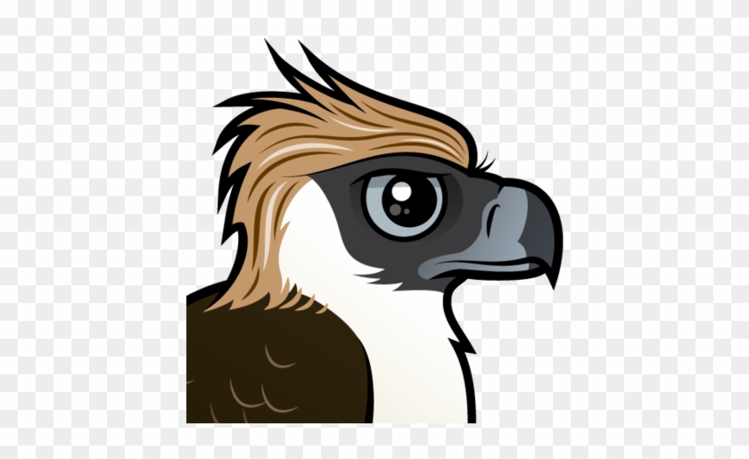 About The Philippine Eagle - Philippine Eagle #375108