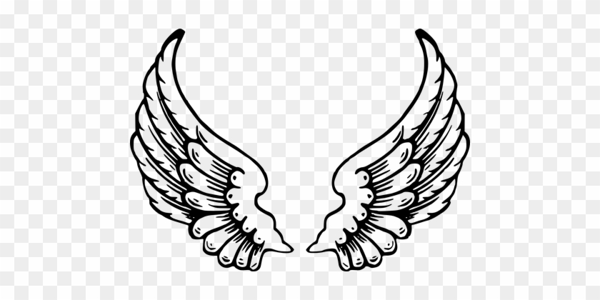 Wings Feathers Bird Wings Angel Wings Flig - Angel Wings Cut Out #375195