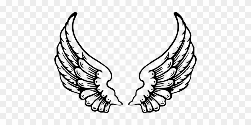 Wings Feathers Bird Wings Angel Wings Flig - Angel Wings Cut Out #375195