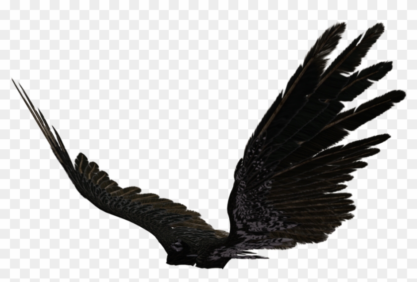 Angel Wing 03 By Wolverine041269 On Clipart Library - Black Angel Wings Side View #375248