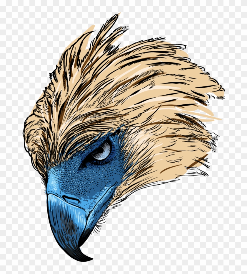 Philippine Eagle For Tshirt By Junver - Philippine Eagle Logo Png #375257