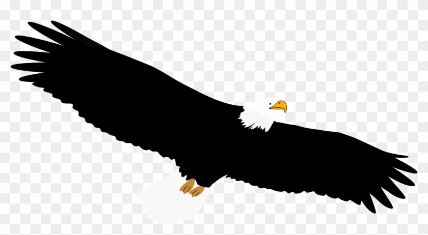 Eagle - Custom Soaring Bald Eagle Shower Curtain #375292