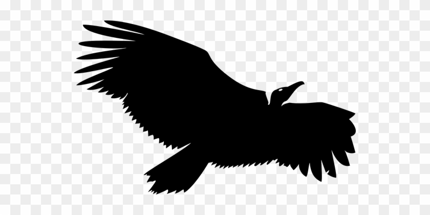 Vulture Silhouette Black Flying Isolated S - Vulture Logo Vector #375299