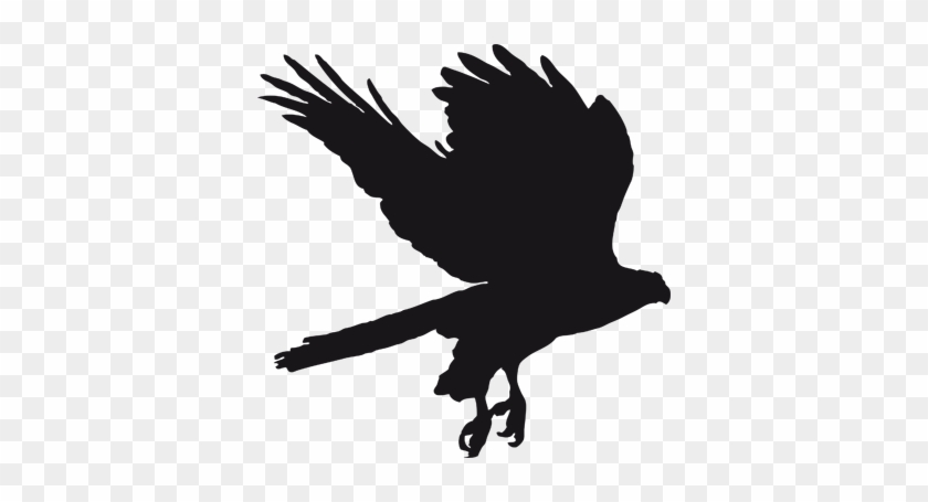 Eagle Silhouette Blackboard Sticker - Slate #375326