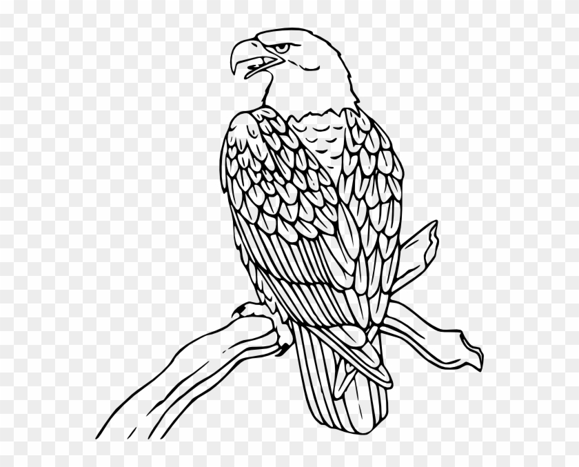 Line Drawing Of Eagle #375459