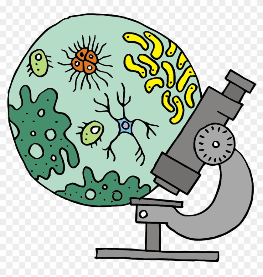 Microscope Cartoon - Microscope - Microscope Cartoon - Microscope #375647