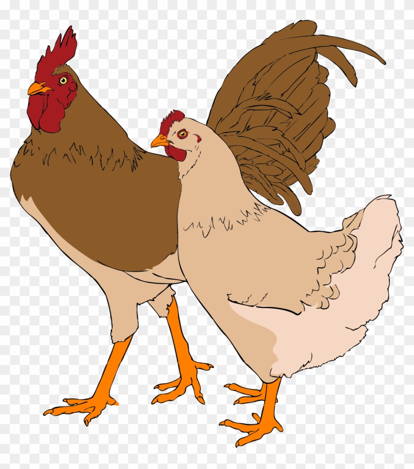 File - Rooster And Hen Clip Art #375715