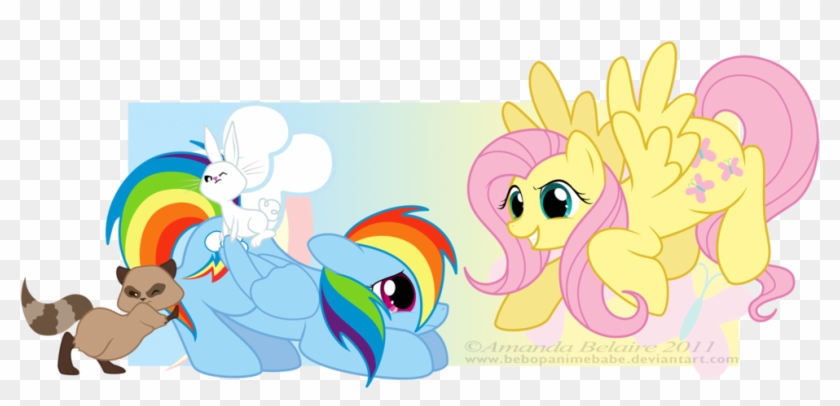 My Little Pony Friendship Is Magic Rainbow Dash And - Fluttershy #375823