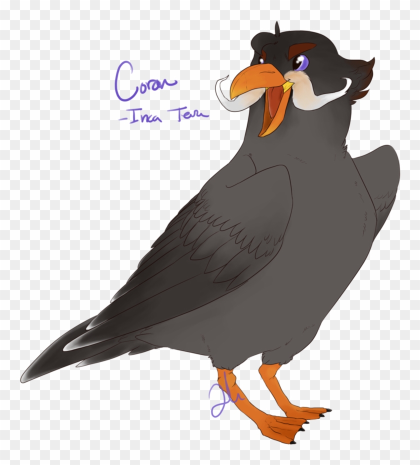 Coran Inca Tern By Shady Raichu - Myna #375880