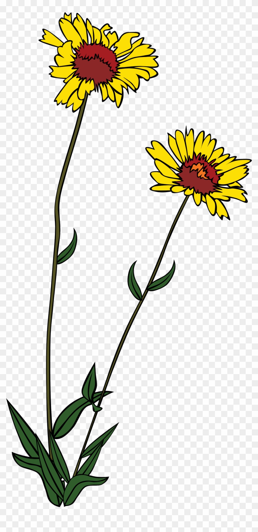 Wildflower Clip Art - Wildflower Clip Art #375960