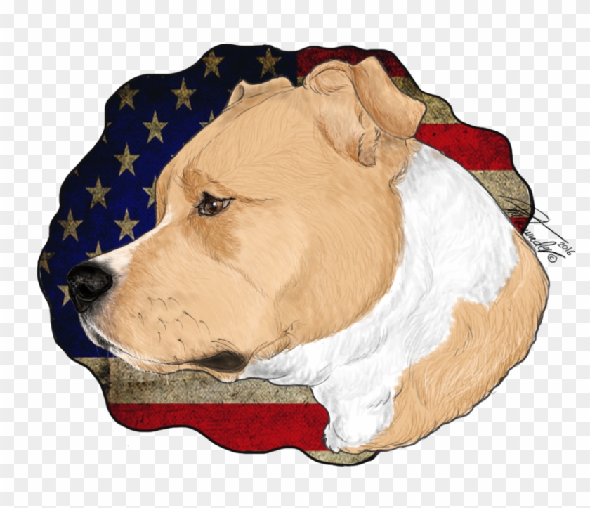 American Pitbull Terrier By Mynameisphantomrider - Cocker Spaniel #375956