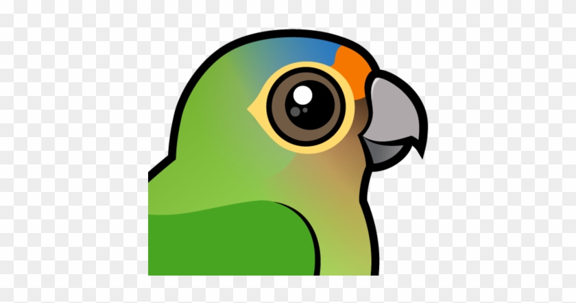 Also Known As - Golden Capped Conure Cartoon #375986