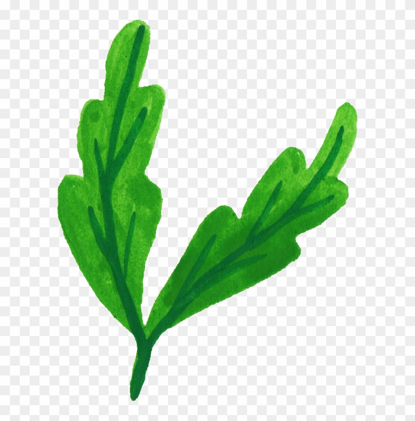 Free Download - Watercolour Leaf Png Clipart #376060